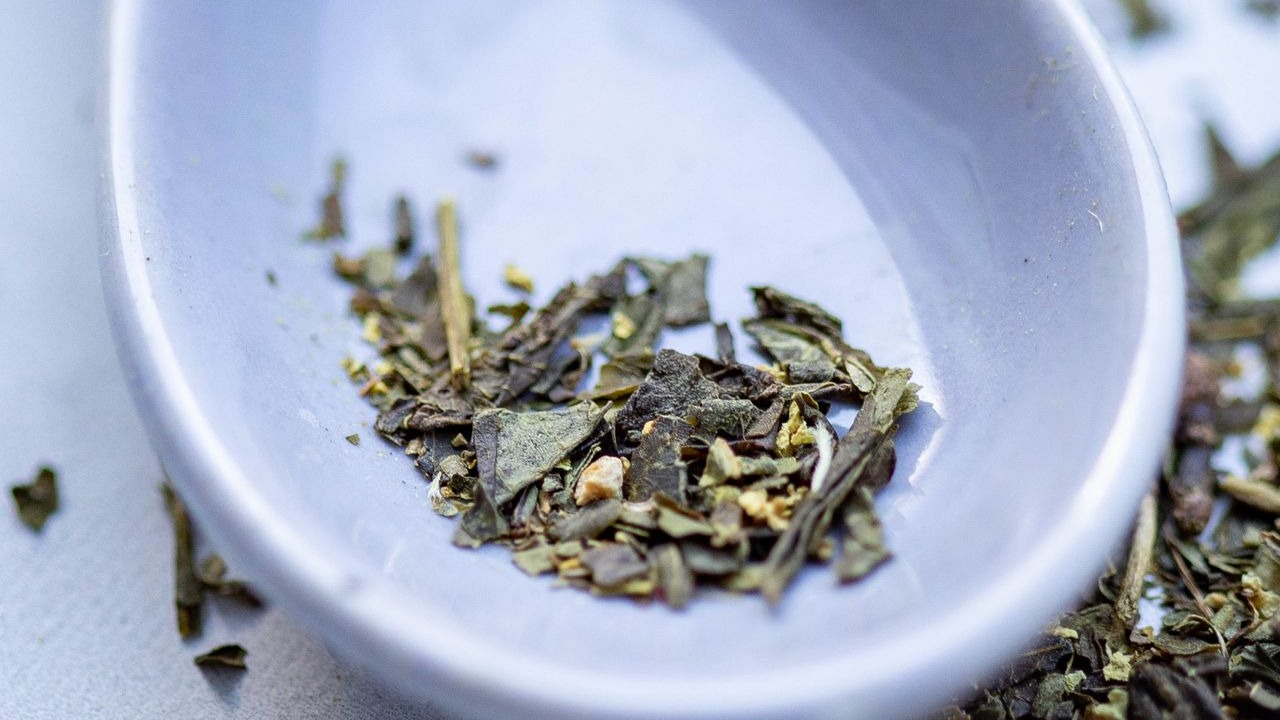 Junshan Yinzhen Yellow Tea: Origin, Men Huan Processing, and Brewing Guide